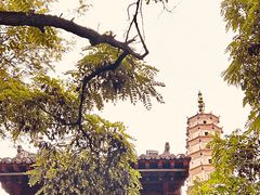 -白塔山公园