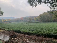 -南山风景名胜区