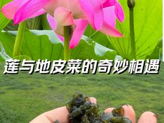 -钟山体育运动公园