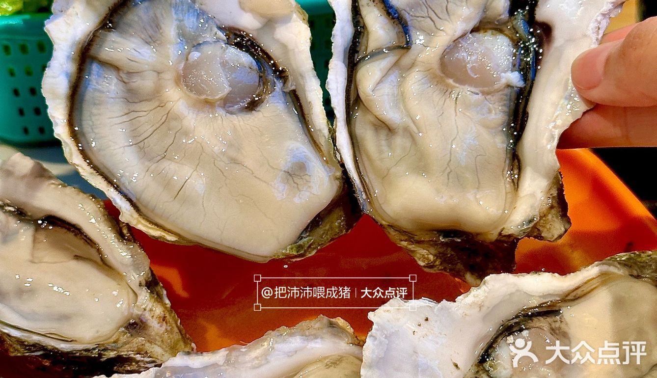 认住广州这里！！被问爆的炭炉鸡煲……