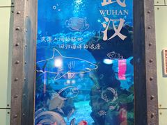 -海合安武汉极地海洋公园