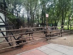 -大鹅岛绿色生态美食园