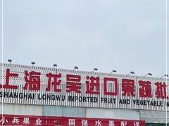 -上海龙吴水胜海发市场