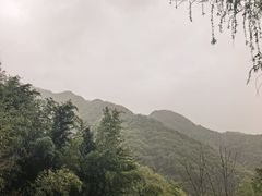 -王顺山国家森林公园