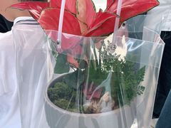 -宁波宝信宝马4S店(江北日湖店)