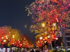 -大唐不夜城