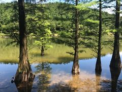 -溪口-滕头旅游景区