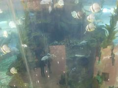 -鸿通城购物中心