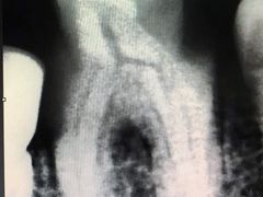 -天使口腔门诊部(上海店)