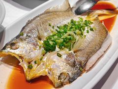 蒸黄鱼-俏江南-江景昆曲主题餐厅(正大广场店)