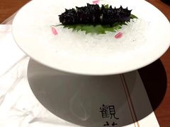 -觀芷隐轩
