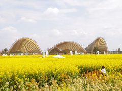 -中国天府农业博览园