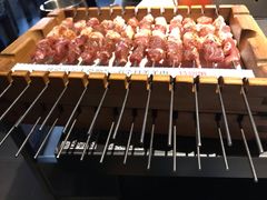 呼伦贝尔羊肉串-很久以前羊肉串(京汉店)