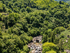 -石台牯牛降景区