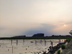 -南汇嘴观海公园