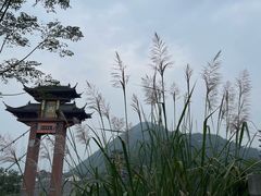 -丰都鬼城名山景区