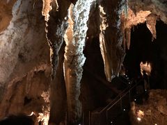 -怀托摩萤火虫洞