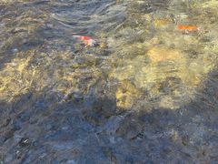 -水磨沟公园