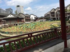 -龙潭水乡