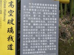 -川西竹海景区