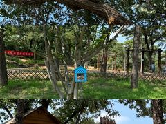 -北京西山国家森林公园