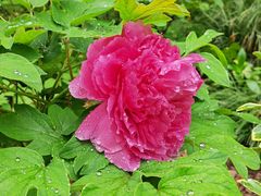 -苏州河梦清园环保主题公园