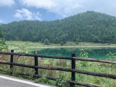 -武陵山森林公园