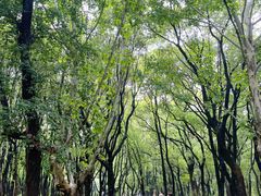 -东湖落雁景区