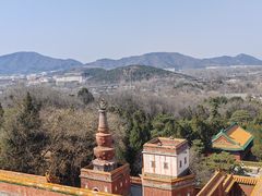 -颐和园