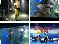 -重庆欢乐海底世界