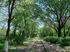 -永定河休闲森林公园