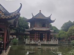 -碧江金楼