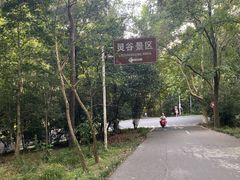 -灵谷景区