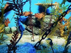 -上海海洋水族馆