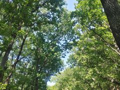 -天津盘山风景名胜区