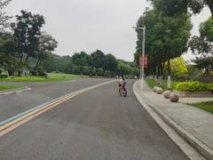 -羊山湖公园
