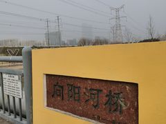 -金科路(地铁站)