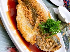 -大树餐厅(大悦城店)