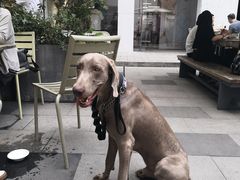 -RAC BAR(安福路店)