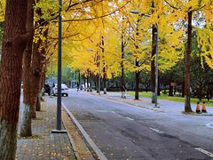-四川大学(望江校区)