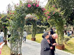 -人民公园(罗湖区)