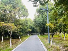 -大蜀山国家森林公园