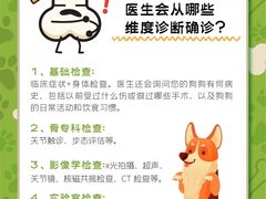 -康成宠物医院24H·CT·核磁共振