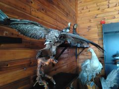 -南京金牛湖风景区