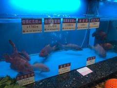 -协成海鲜火锅(海洋花园店)