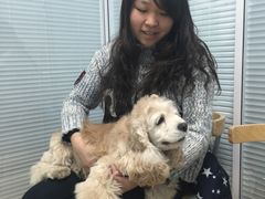 -瑞派·关忠动物医院·猫专科·犬专科(三环新城店)