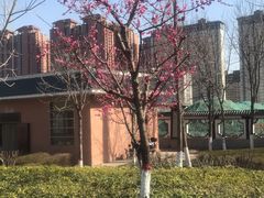 -西安汉城湖景区