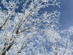 -中旅松花湖滑雪场