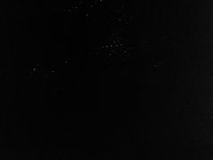 -怀托摩萤火虫洞