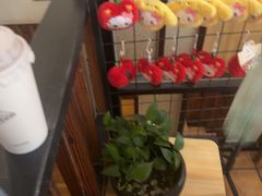-竹雀古法采耳(青岛麦凯乐店)